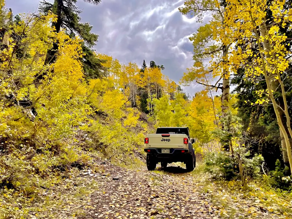Jeep / RZR Rental