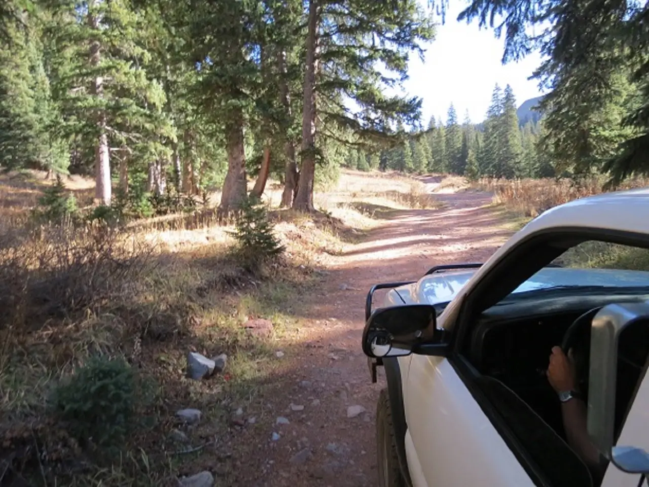 Durango Jeep Tours - La Plata Canyon