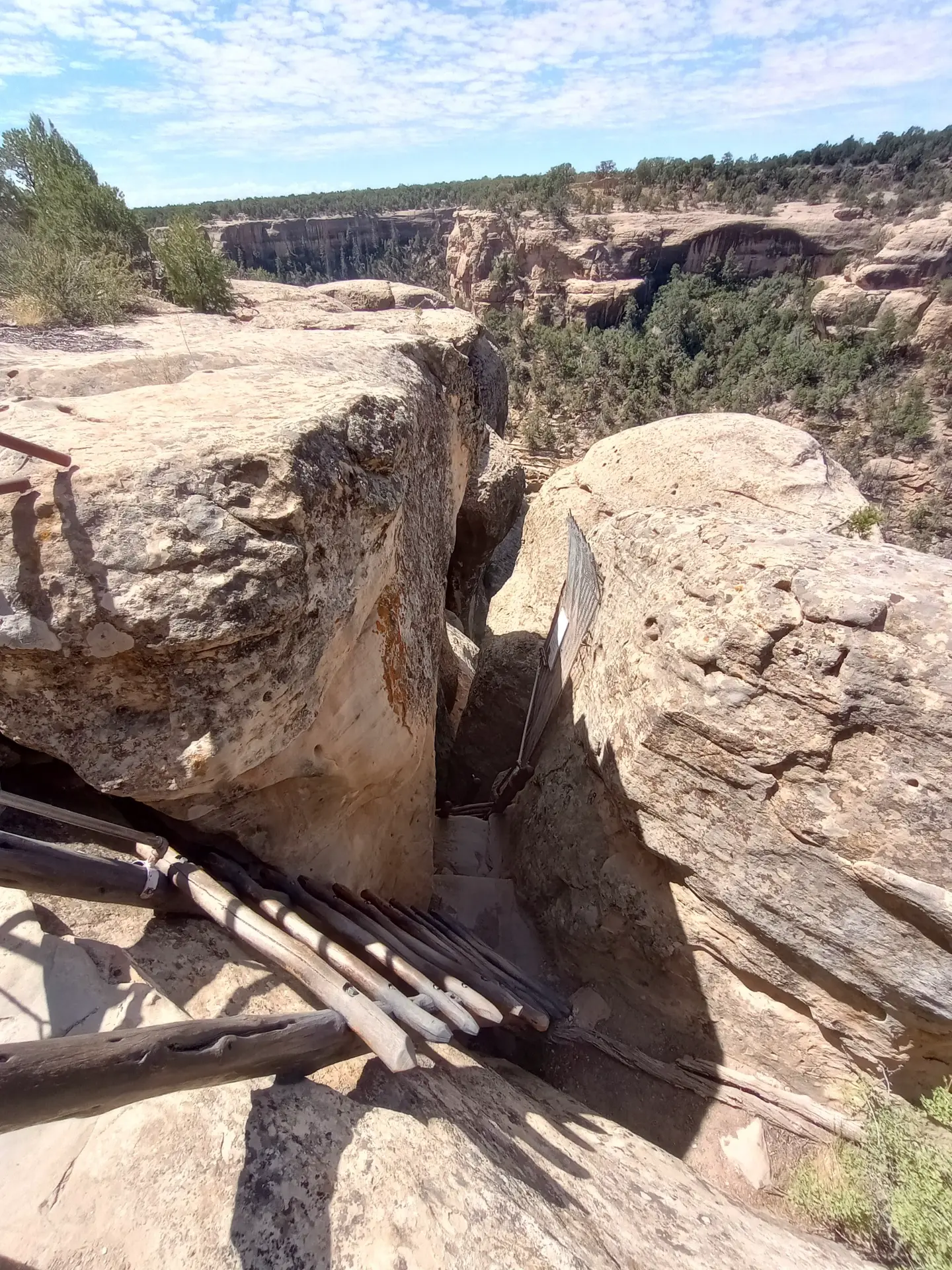 Mesa Verde Express Tour