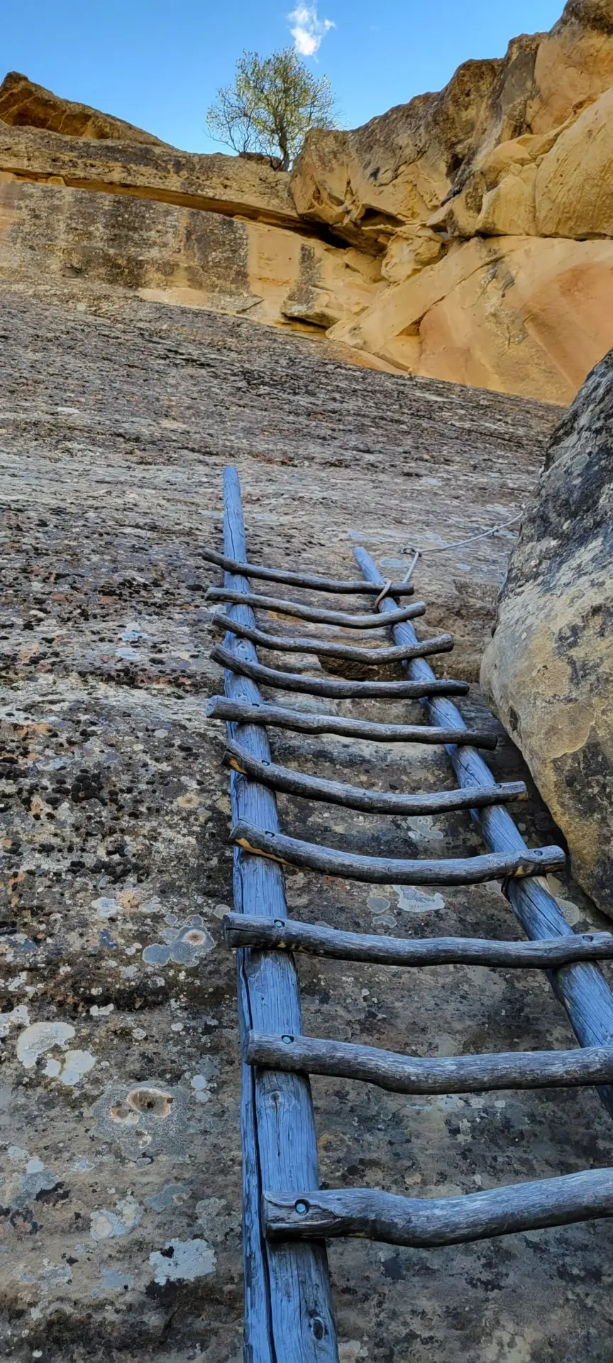 Mesa Verde Express Tour