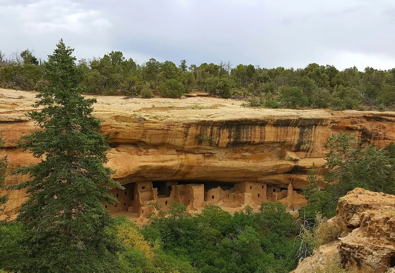 Mesa Verde Full Day Tour