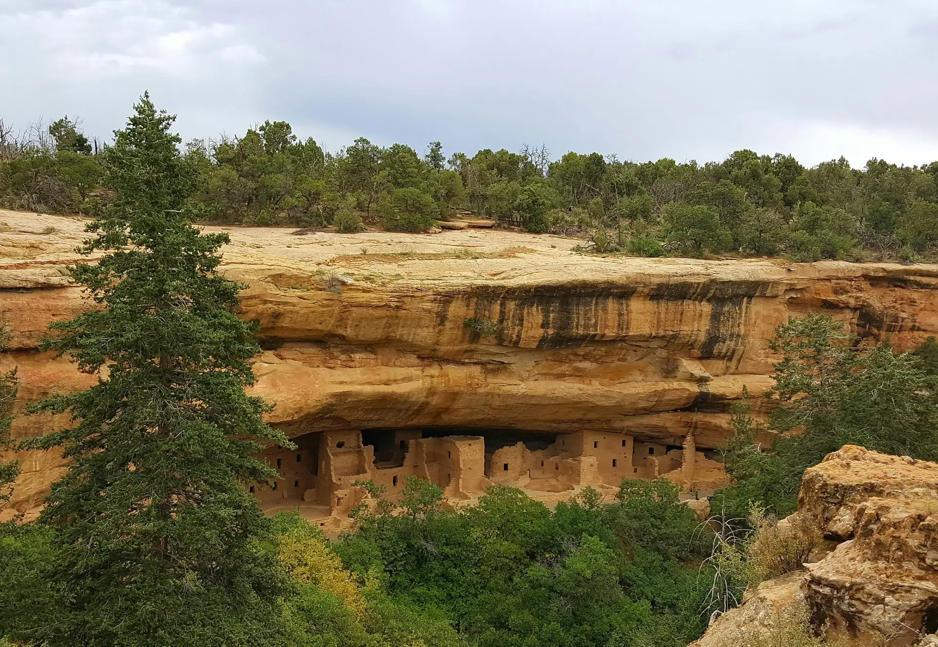 Mesa Verde Full Day Tour
